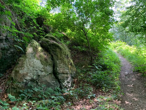 Harzer BaudenSteig Etappe 6: Wieda - Walkenried
