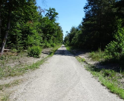 Rundwanderweg Lampertheim Lorscher Weg 4: Oberjägermeister-Weg