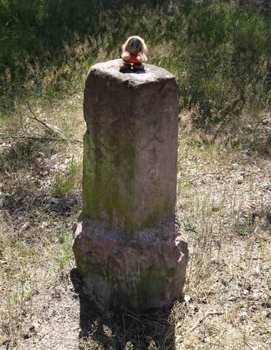 Lampertheimer Wald zwischen Lorsch und Lampertheim