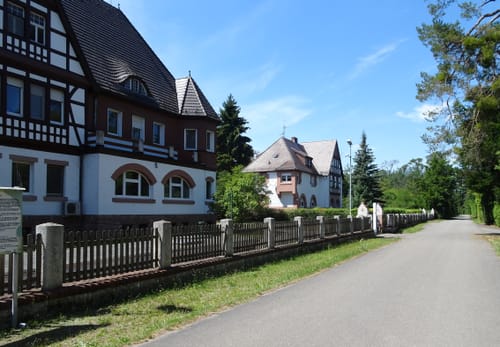 Lampertheimer Wald zwischen Lorsch und Lampertheim