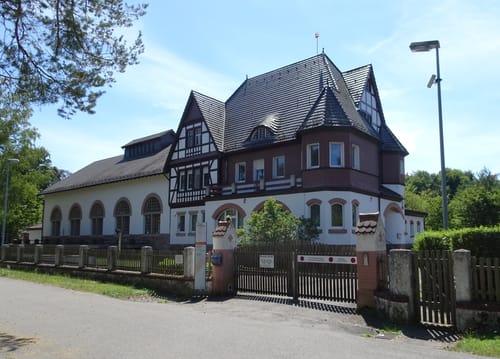 Lampertheimer Wald zwischen Lorsch und Lampertheim