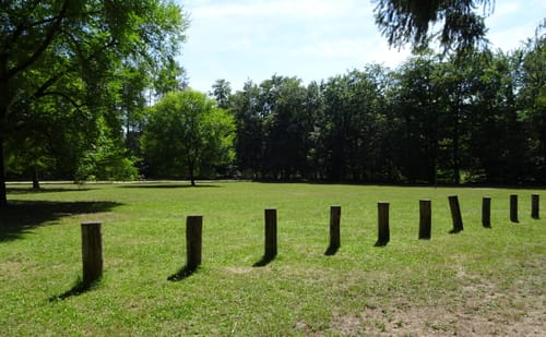 Rundwanderweg Lampertheim Lorscher Weg 3: Wasenacker-Weg