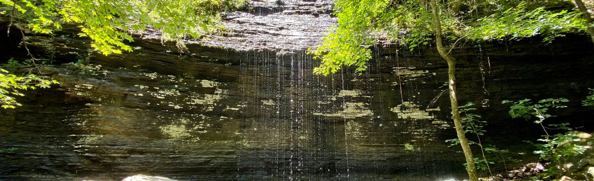 Bridal Veil Falls, Cornelius Falls, Arkansas 499 Reviews, Map AllTrails