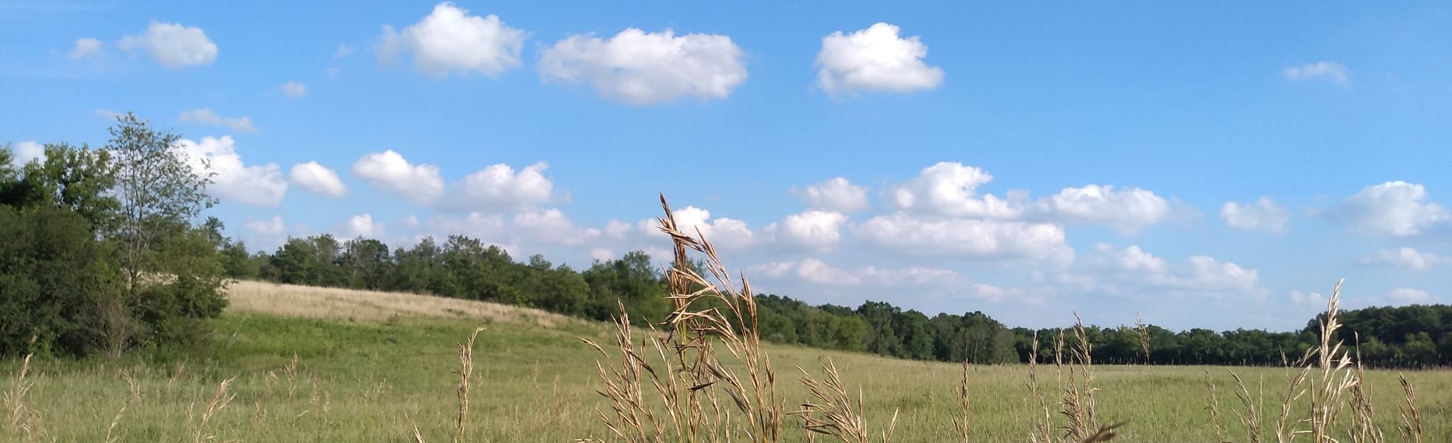 Penny Road Pond and Spring Lake Loop 412 Reviews, Map Illinois AllTrails