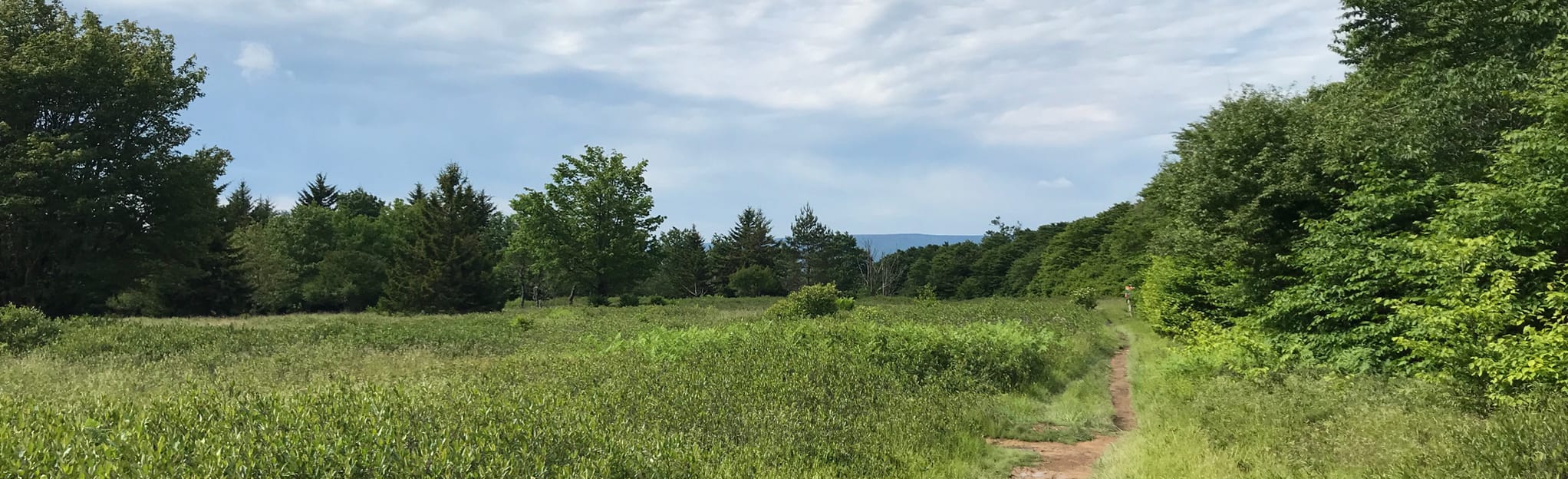 Rocky Ridge from Freeland Road, West Virginia 197 Reviews, Map