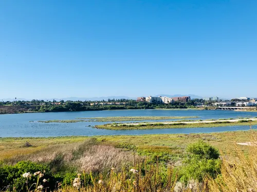 Best Hikes and Trails in Windrow Community Park | AllTrails