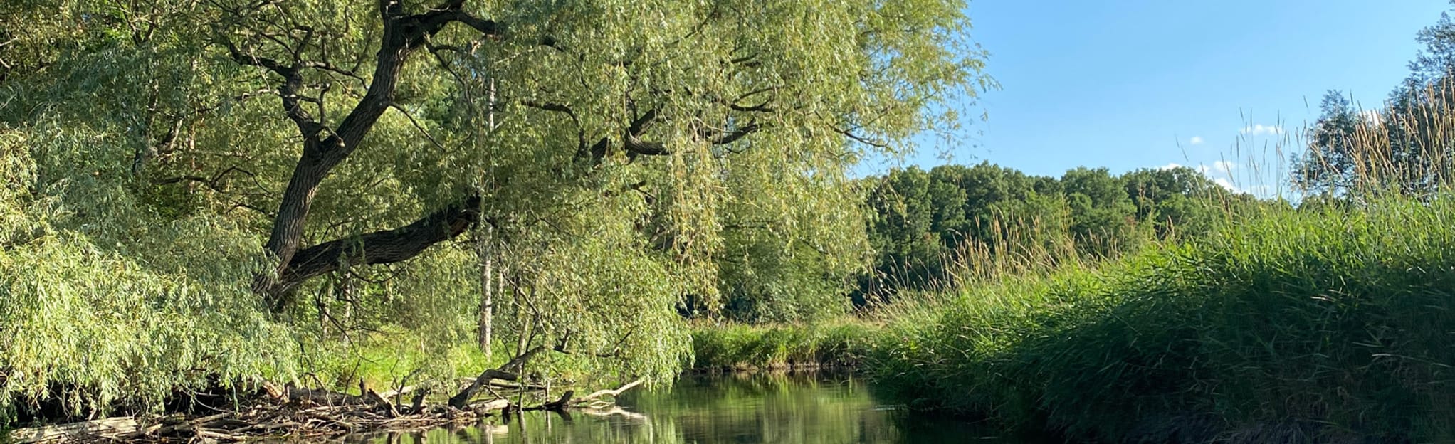 Clinton River Paddle Route, Michigan 50 Reviews, Map AllTrails