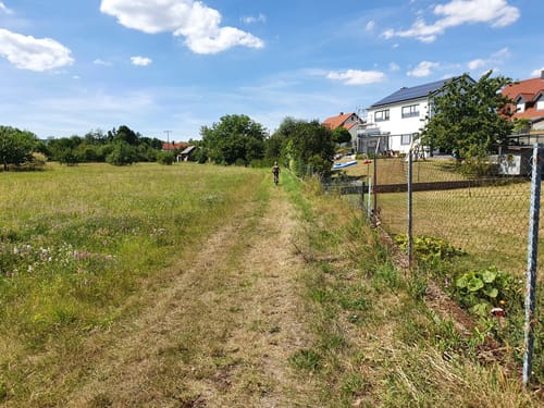 Am Brend in den Burgwallbacher Forst