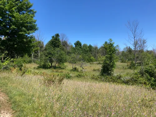 Best Hikes and Trails in Leelanau State Park | AllTrails