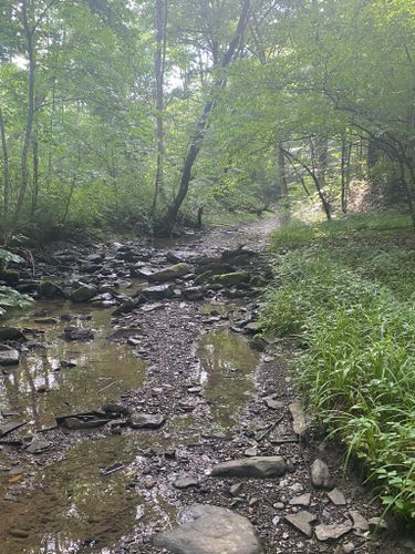 2023 Best 10 Trails and Hikes in Cortland | AllTrails