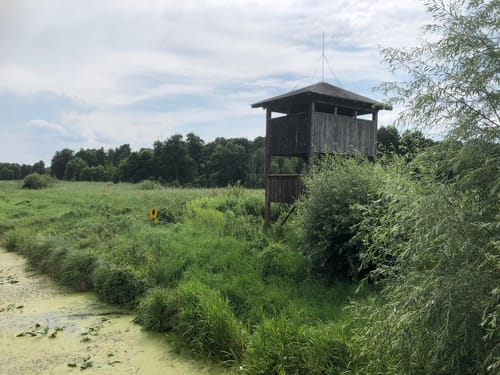 Blankensee Rundweg zum Vogelbeobachtungsturm