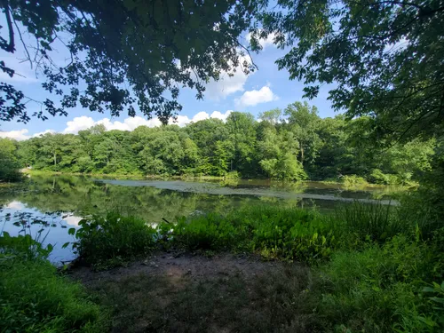 10 Best Hikes and Trails in Watchung Reservation | AllTrails