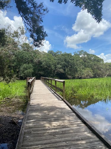 myakka river state park bike trails