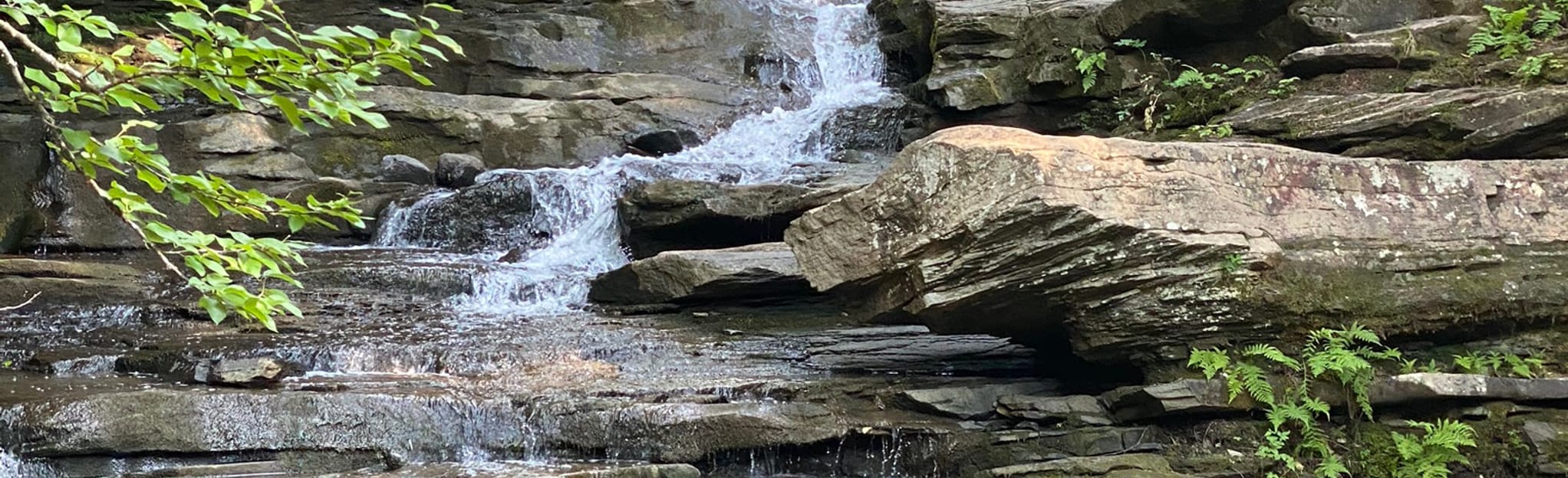 Garden Creek Falls 96 Reviews, Map New Brunswick, Canada AllTrails