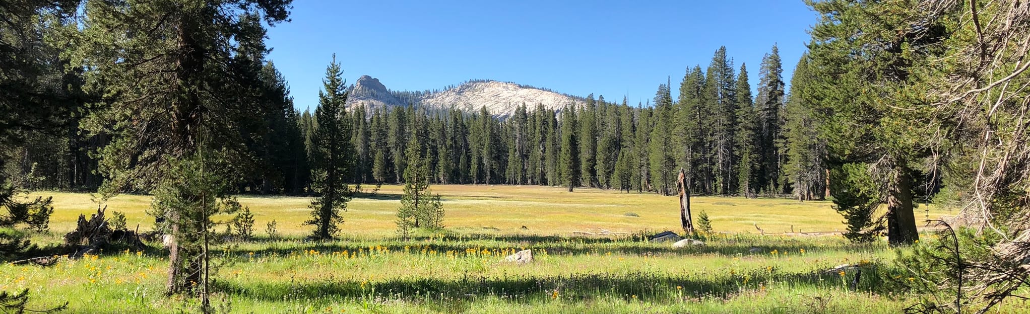 Rowell Meadow Trail Map Printable