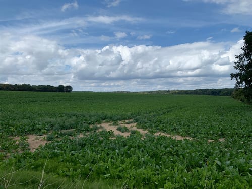 Weilerswist: Eifelspur Zwischen Ville und Eifel