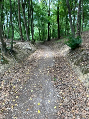 Weilerswist: Eifelspur Zwischen Ville und Eifel