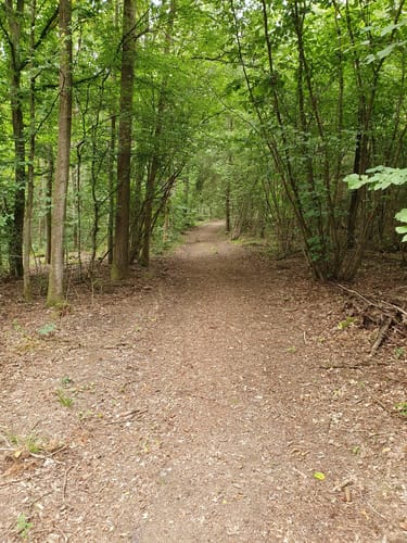 Waldwege Großbardorf