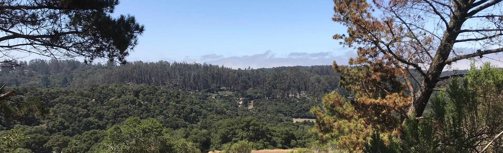 Royal Oaks County Park Trails Map, Guide California AllTrails