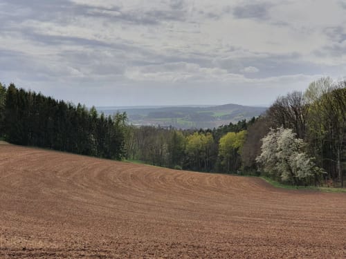Buchberg und Gruber Stein