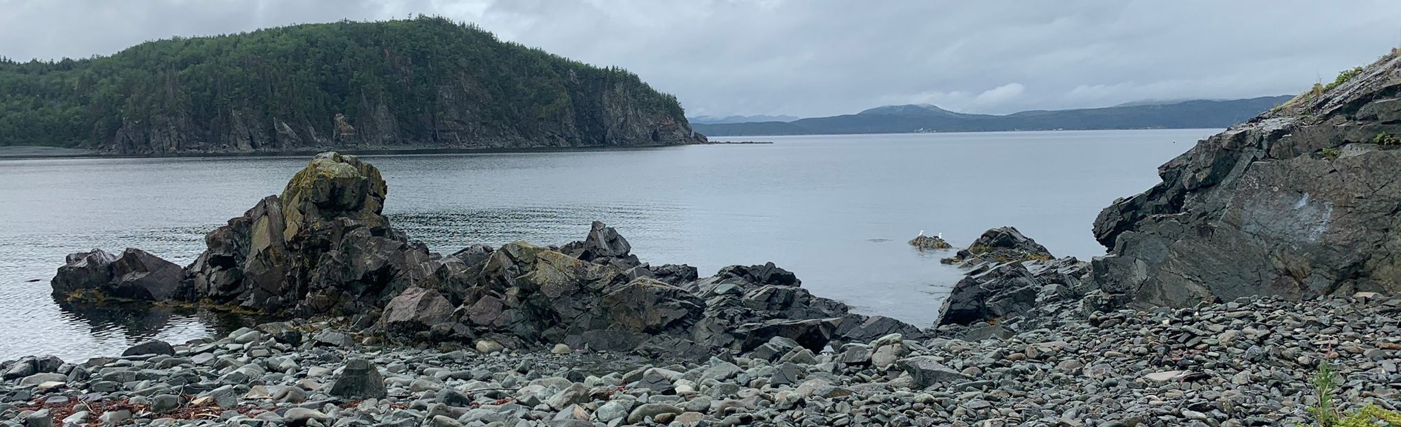 Harry's Harbour Hiking Trail 26 Reviews, Map Newfoundland and Labrador, Canada AllTrails