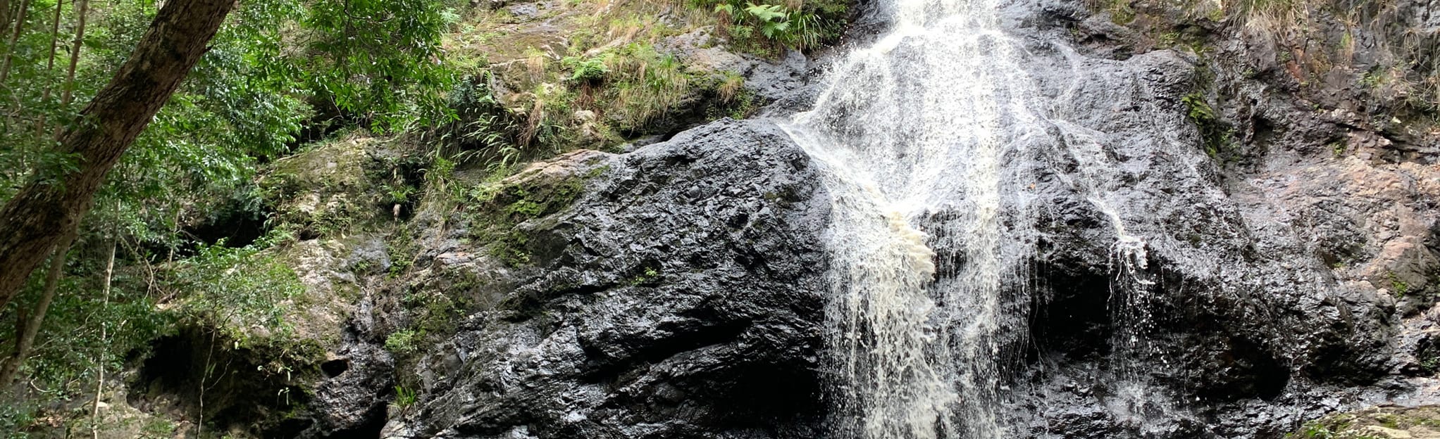 Gheerulla Falls: 180 Fotos - Queensland, Australien | AllTrails