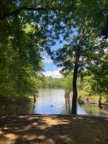 Best Hikes And Trails In Moro Bay State Park Alltrails