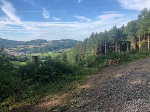 Rundwanderweg Reichenbach 2: Höll-Berg-Weg