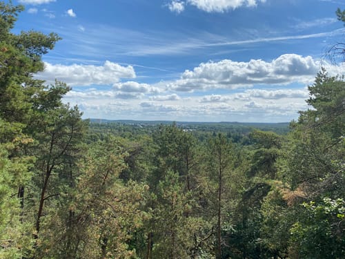 クロード・モネ、Road in the Forest of Fontainebl The forest - Fontainebleau Tourisme - Fontainebleau Tourisme