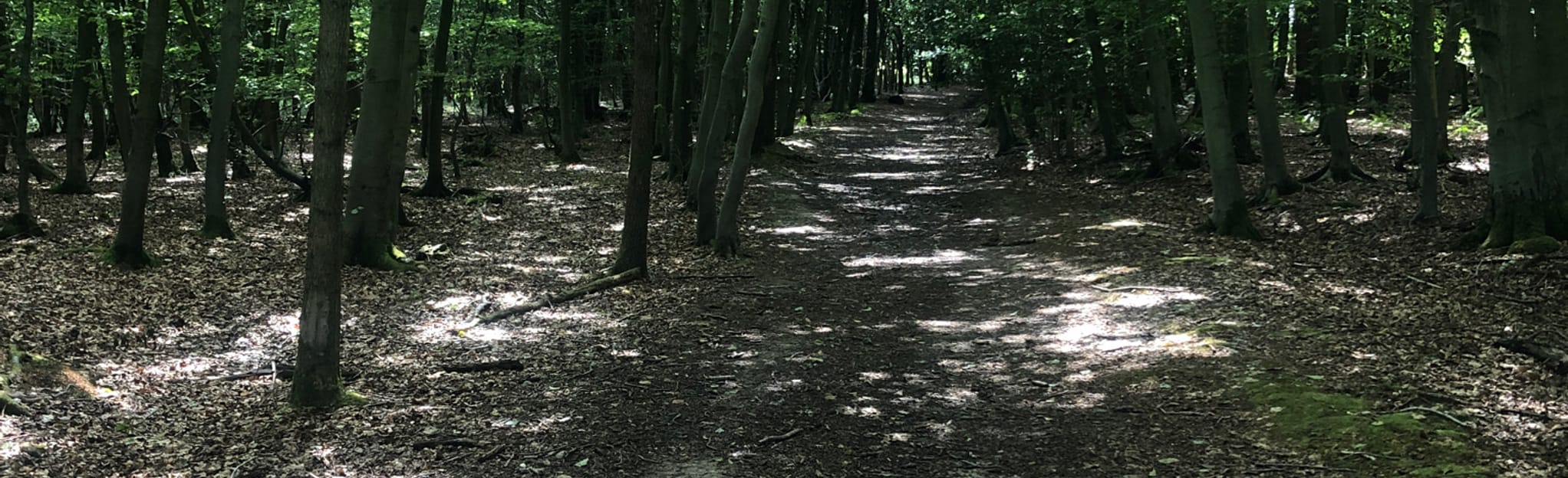 East Hoathly Circular East Sussex, England AllTrails