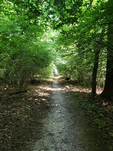 Saxon Woods Trail Map Best 10 Trails In Saxon Woods Park Alltrails