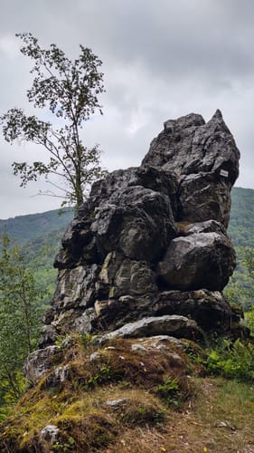 Moseltalschanzen (Moselsteig Seitensprung)