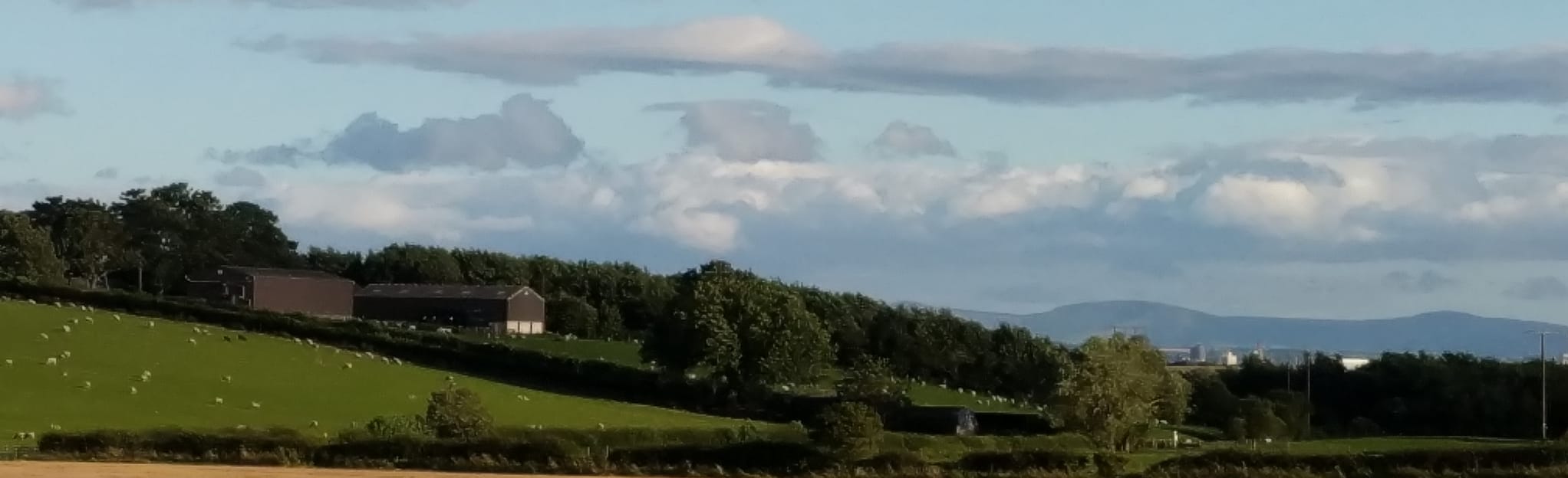 Summerhill Dalton Piercy Circular, County Durham, England 62 Reviews