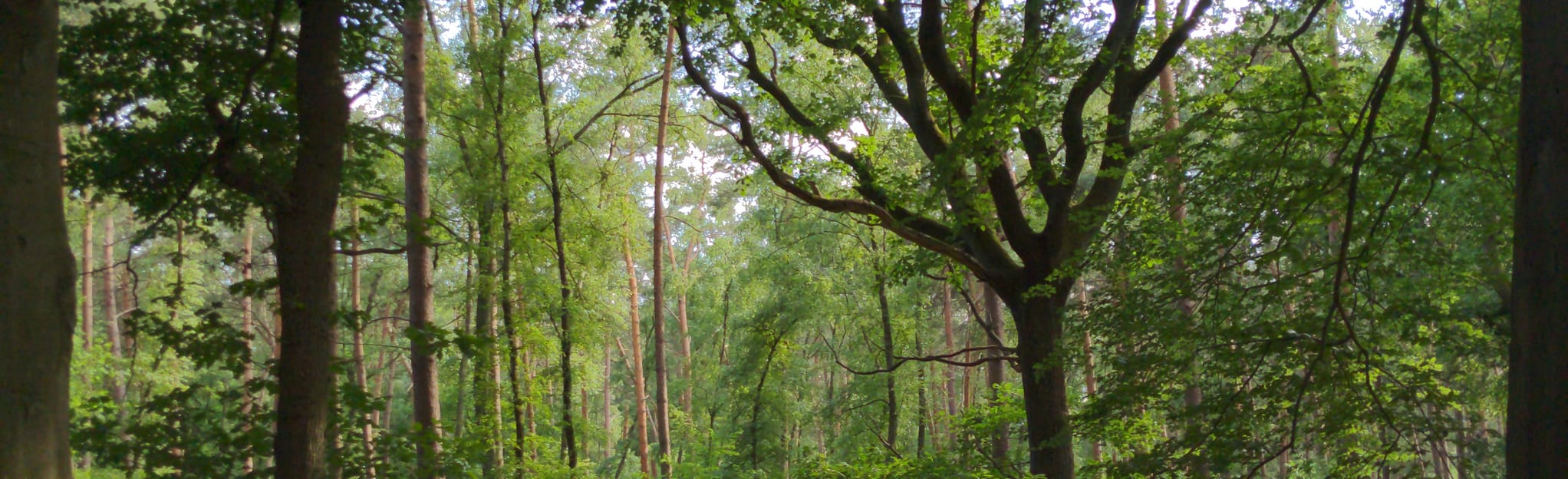 Die TesterbergeTour, North RhineWestphalia, Germany 3 Reviews, Map