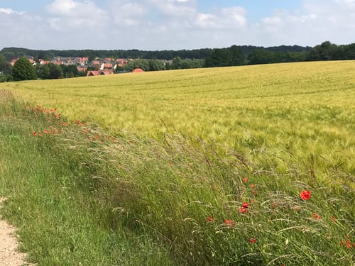 BahnRadRoute Teuto-Senne (Radfernweg)