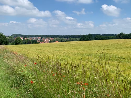 BahnRadRoute Teuto-Senne (Radfernweg)