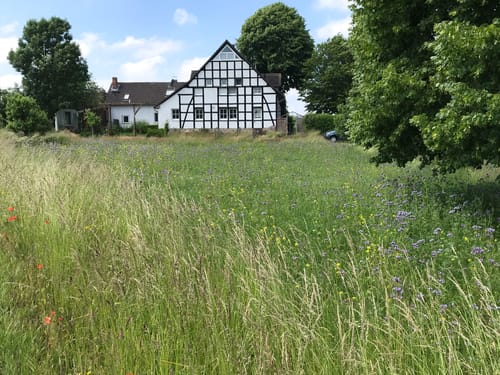 BahnRadRoute Teuto-Senne (Radfernweg)