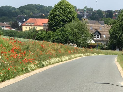 BahnRadRoute Teuto-Senne (Radfernweg)