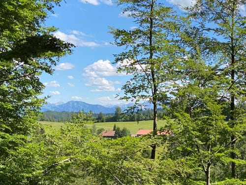Vom Glasmacherweg zum Schwarzen Grat