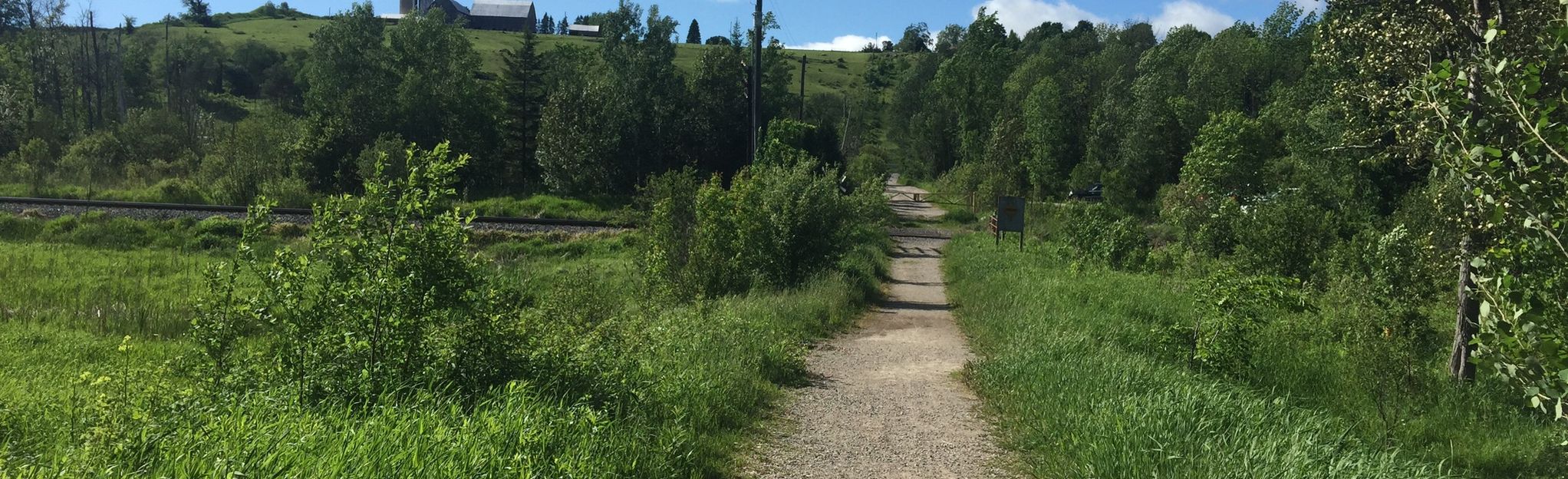 copeland forest mtb trail map