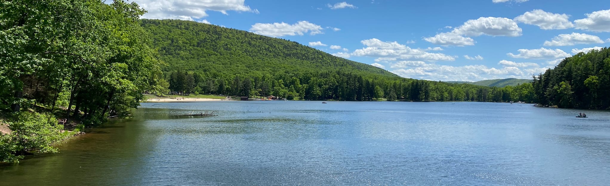 Standing Stone, Fox, and Tuscarora Trail Loop 49 Reviews, Map