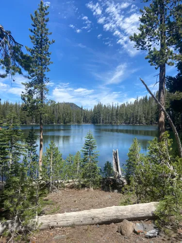 2023 Best 10 Dog Friendly Trails in Lassen National Forest | AllTrails