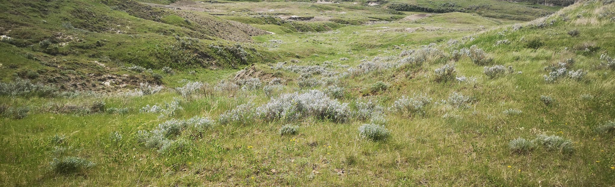 Crackerjack Viewpoint Trail Map, Guide Saskatchewan, Canada AllTrails