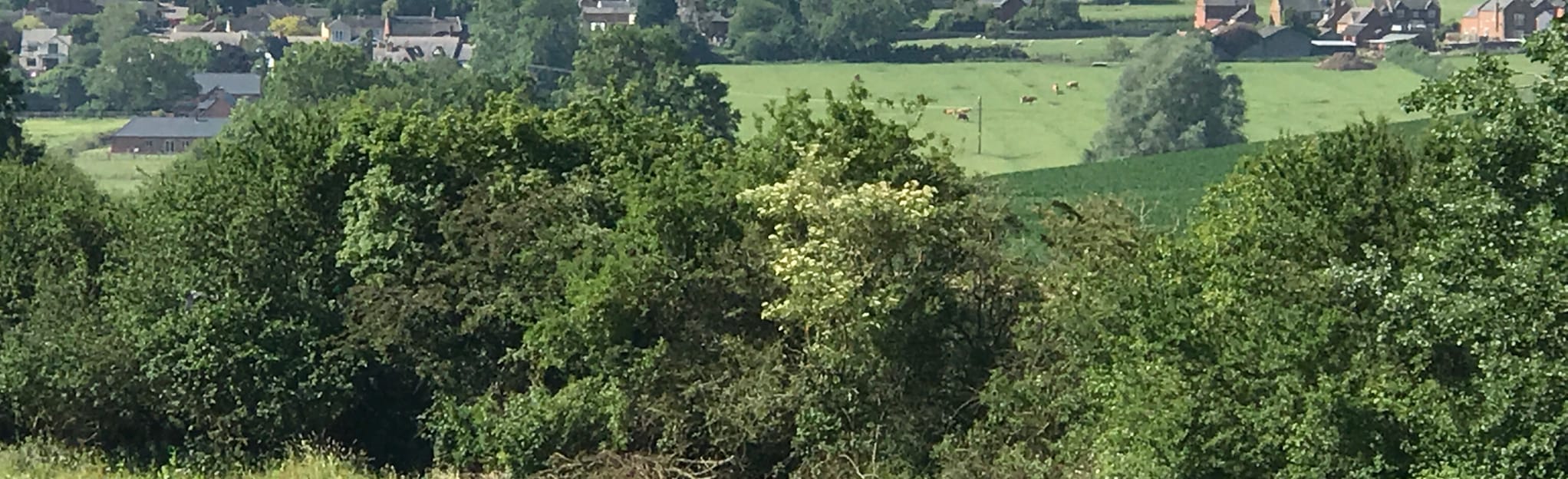 Stonton Wyville and Thorpe Langton Circular, Leicestershire, England