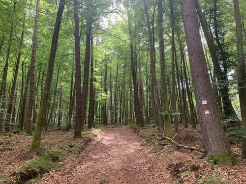 Holzlandweg