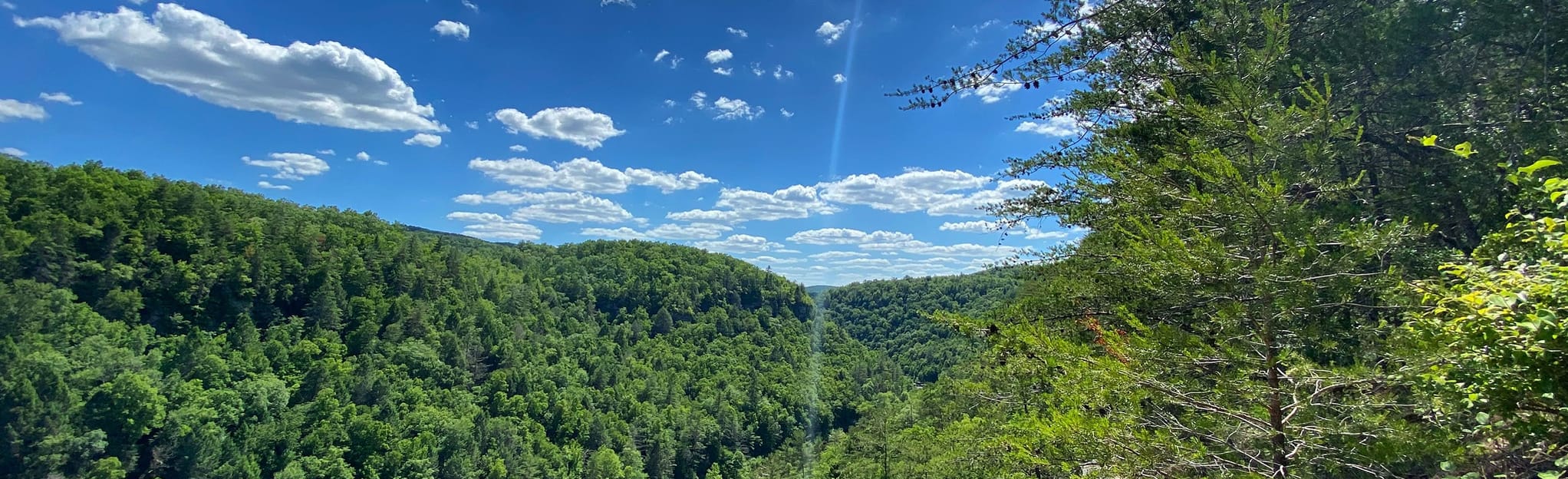 Obed River Point Trail, Tennessee 715 Reviews, Map AllTrails