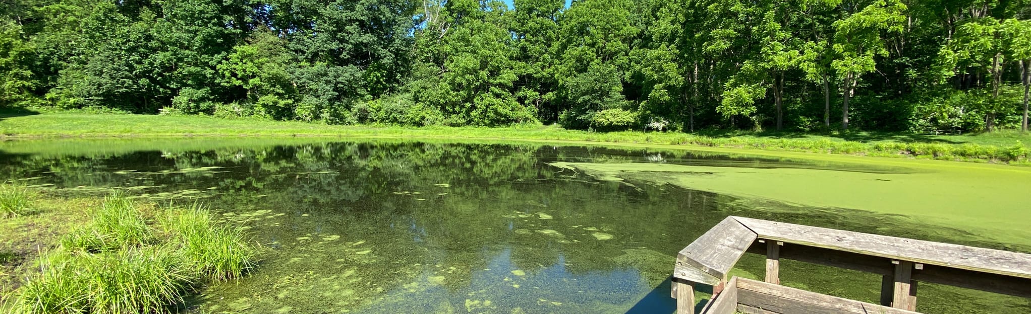 Quail Hollow Outer Loop: 123 Reviews, Map - Ohio | AllTrails