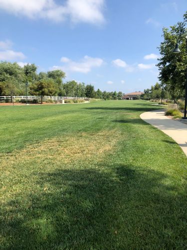 are dogs allowed at chino hills community park