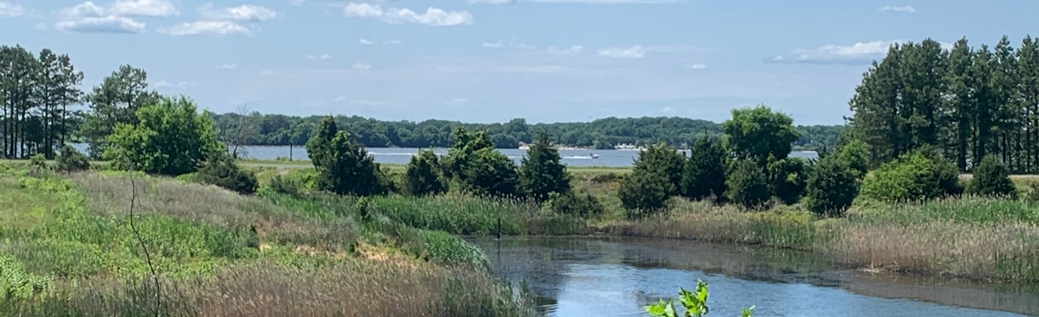 HartMiller Island Campground, 21 Fotos Maryland AllTrails
