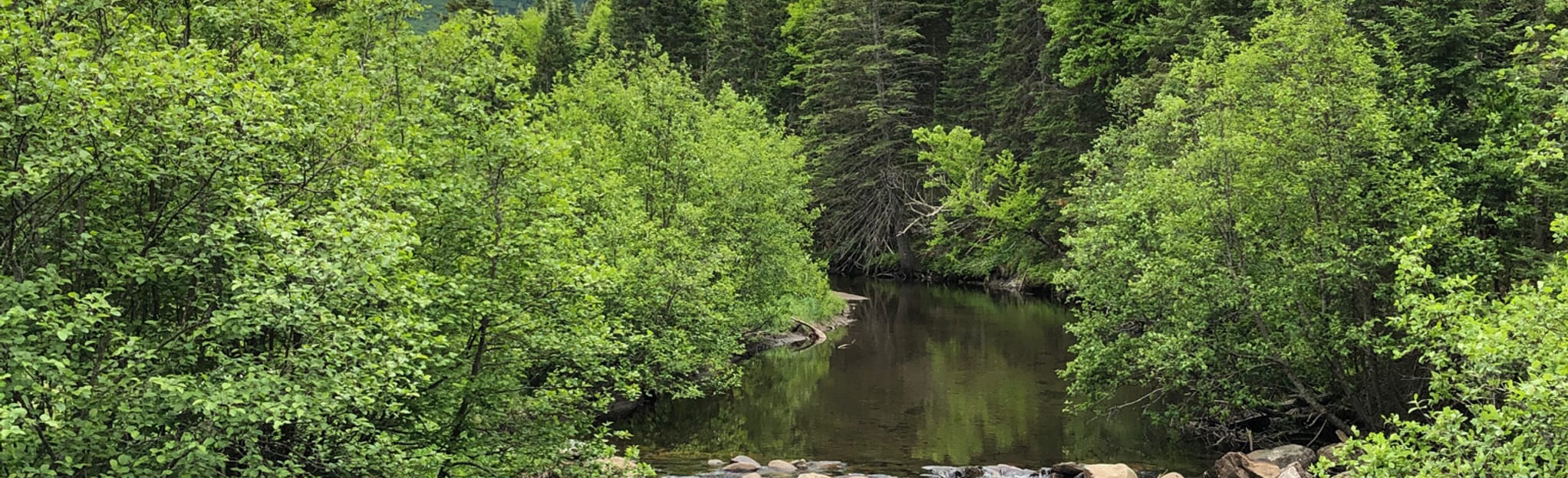 Sugar Loaf Mountain via Escarpment Trail 731 foton Québec, Kanada